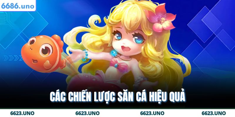 Các chiến lược săn cá hiệu quả