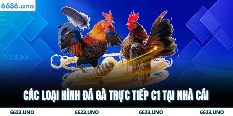 Các loại hình đá gà trực tiếp c1 tại nhà cái
