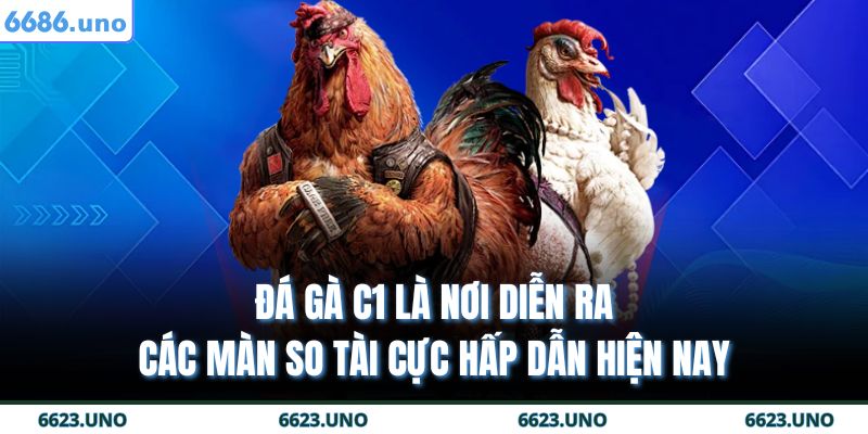 Đá gà c1 là nơi diễn ra các màn so tài cực hấp dẫn hiện nay