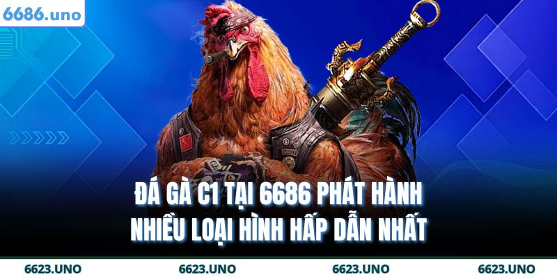 Đá gà c1 tại 6686 phát hành nhiều loại hình hấp dẫn nhất