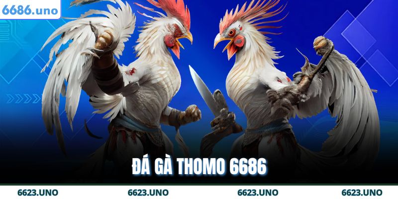 Đá Gà Thomo 6686