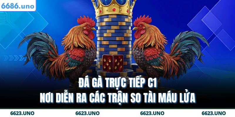 đá gà trực tiếp c1