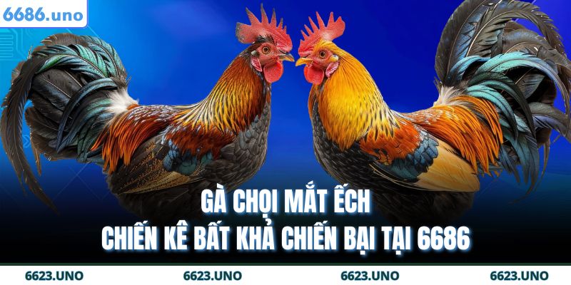 Gà chọi mắt ếch
