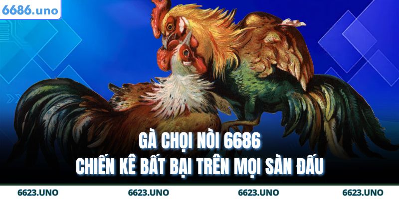 Gà chọi nòi 6686