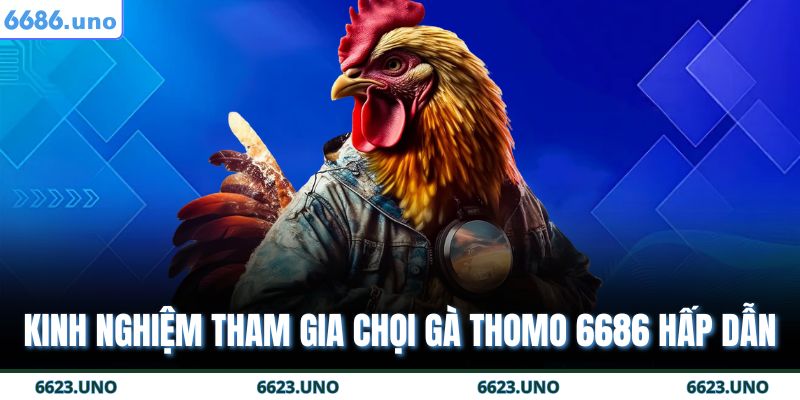 Kinh nghiệm tham gia chọi gà Thomo 6686 hấp dẫn